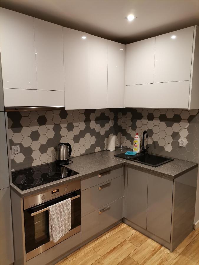Raul Apartments ビャウィストク エクステリア 写真